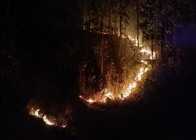 आगलागीका घटनामा परेर २ जनाको मृत्यु