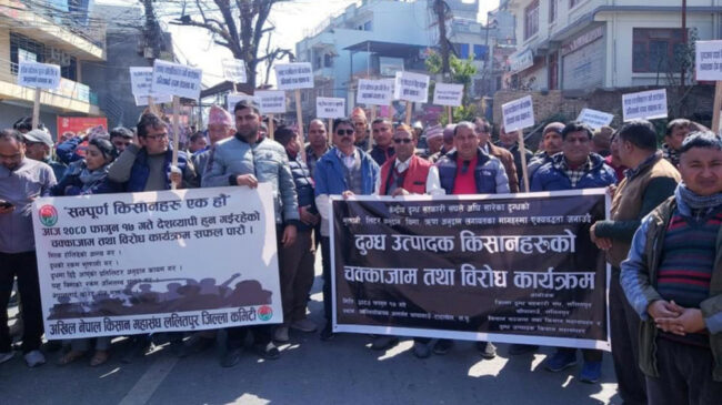 दुग्ध किसानलाई बाइपास गरेर मध्यस्थकर्ता र सरकारबीच सम्झौता